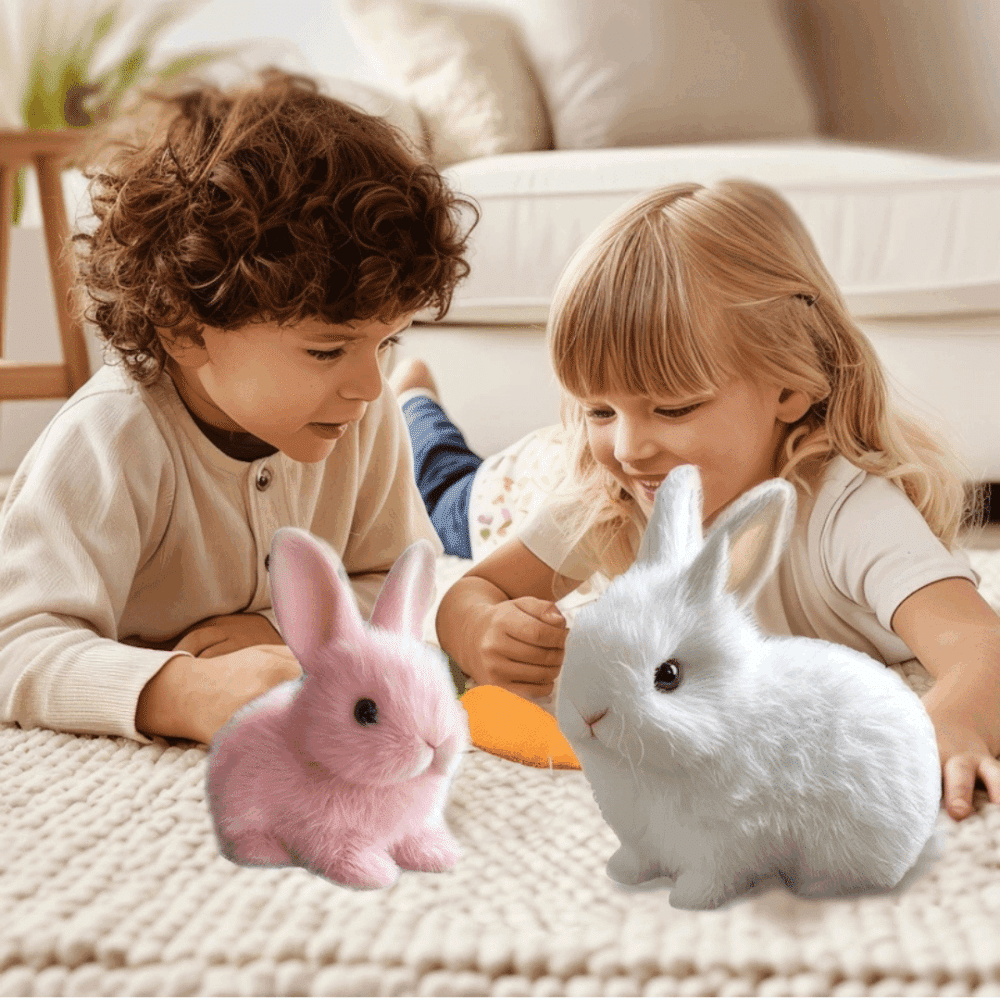 How to Use Fanyil Bunny Pal